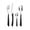 Black, variant on Amefa Eclat 24-Piece Stainless Steel Set (Natural Black Wood)