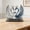 K, variant on Owl Figurine Home Decor,Owl Statues and Sculptures for Shelf Decor Accents,Boho Owls Decorations for Bookshelf Bedroom Living Room Office Table Decor,Animal Gifts for Bird Lovers Women