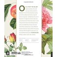 thumbnail image 2 of Botanicals: Secrets of Observational Drawing (Classic Sketchbook), 2 of 2