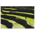thumbnail image 1 of Great BIG Canvas | "A Farmer Walks Along The Rice Terraces; Batad, Northern Luzon, Philippines" Art Print - 30x20, 1 of 4