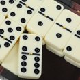 thumbnail image 5 of 1 Set Dominoes Set Entertainment Recreational Party Game Toy with Wooden Box, 5 of 5