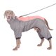 thumbnail image 1 of Ropa para perros ropa para perros de cuatro patas ropa acolchada de algodón para mascotas golden retriever labra ropa de cuello alto para perros medianos y grandes ropa para el hogar, 1 of 6