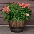 thumbnail image 5 of Vigoro 12.8 in. Reedley Medium Kentucky Walnut Brown Resin Barrel Planter (12.8 in. D x 10.5 in. H), 5 of 5