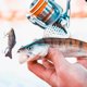 thumbnail image 2 of Pesca robótica 3D para agua dulce y salada. El equipo de pesca atrae a las truchas, ideal para principiantes y aficionados, 2 of 4