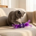 thumbnail image 3 of SIfdSeng Interactive for and Cats with Exciting Sounds and Chewable Design, 3 of 8