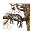 thumbnail image 1 of veasfak Stamped & Counted with Color Charts - Cat - 14CT Counted, 1 of 9