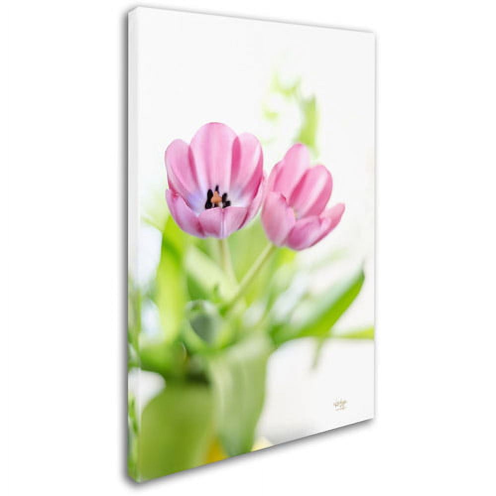Trademark Fine Art "Pink Tulips Drenched in Light" Canvas Art by Lois Bryan