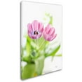 thumbnail image 2 of Trademark Fine Art "Pink Tulips Drenched in Light" Canvas Art by Lois Bryan, 2 of 3