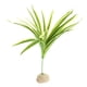 thumbnail image 4 of Planta Acuática Artificial Paisajística Accesoiros de Acuario Decorativo Resistente Duradero - tal se describe, 2 2 Yinane Reptil Vivarium Plant, 4 of 8