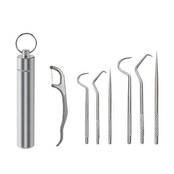 Flossing Metal Toothpicks Set Reusable Toothpicks Portable Toothpick Floss Teeth Cleaner Oral Care Cleaning Tools,A