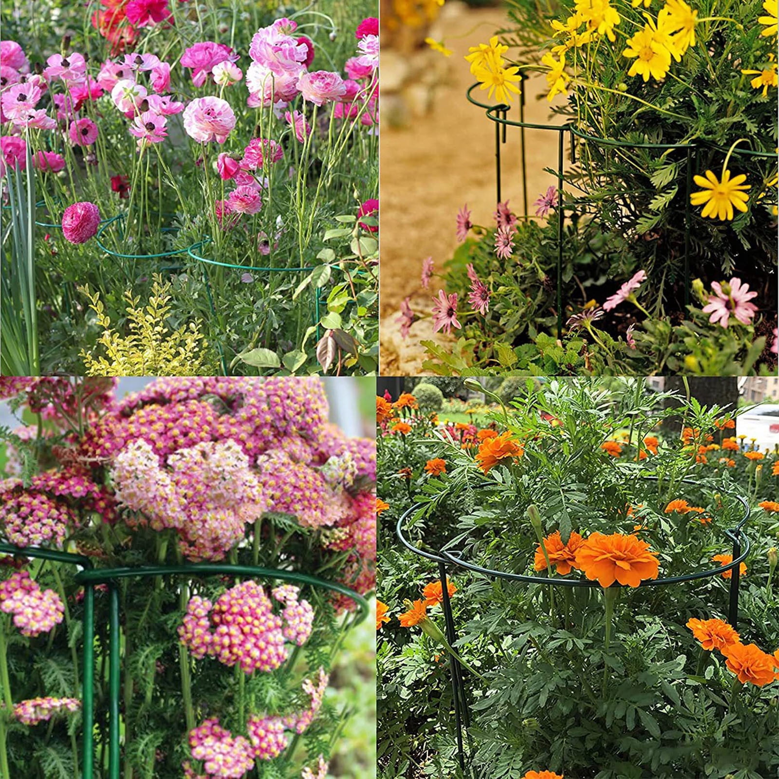 10 Pack Metal Support Rings - 15.8" Tall Half-Round Garden Stakes for Peonies, Tomatoes & Climbing - Heavy Duty Flower Cage Supports (10" Wide)