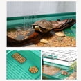 thumbnail image 3 of Turtle breeding box with lid sun drying table home landscaping, 3 of 8