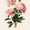 Pink Peony Floral, variant on UXIEQU White Rabbit Carrots Floral Canvas Wall Art 15.75x11.81 Inches