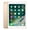 Gold, variant on Pre-Owned Apple ipad 5th Generation 128 GB WiFi Gold (Fair)