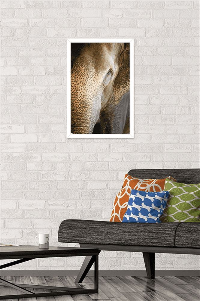 Beth Sheridan - Indian Elephant Wall Poster, 14.725" x 22.375", Framed