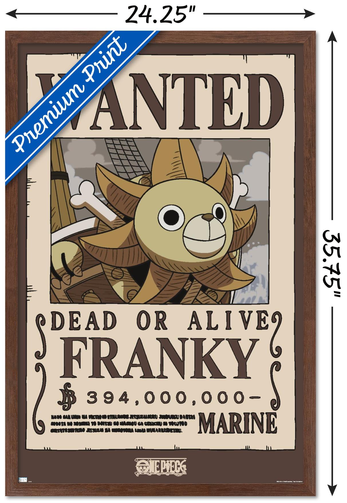 One Piece - Franky Wanted Poster Wall Poster, 22.375