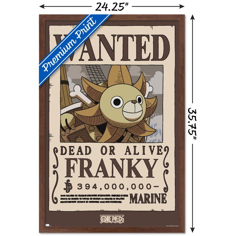 One Piece - Franky Wanted Poster Wall Poster, 22.375