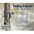 thumbnail image 5 of Valley Farms Striped Sunflower Wild Bird Seed, 5 of 13
