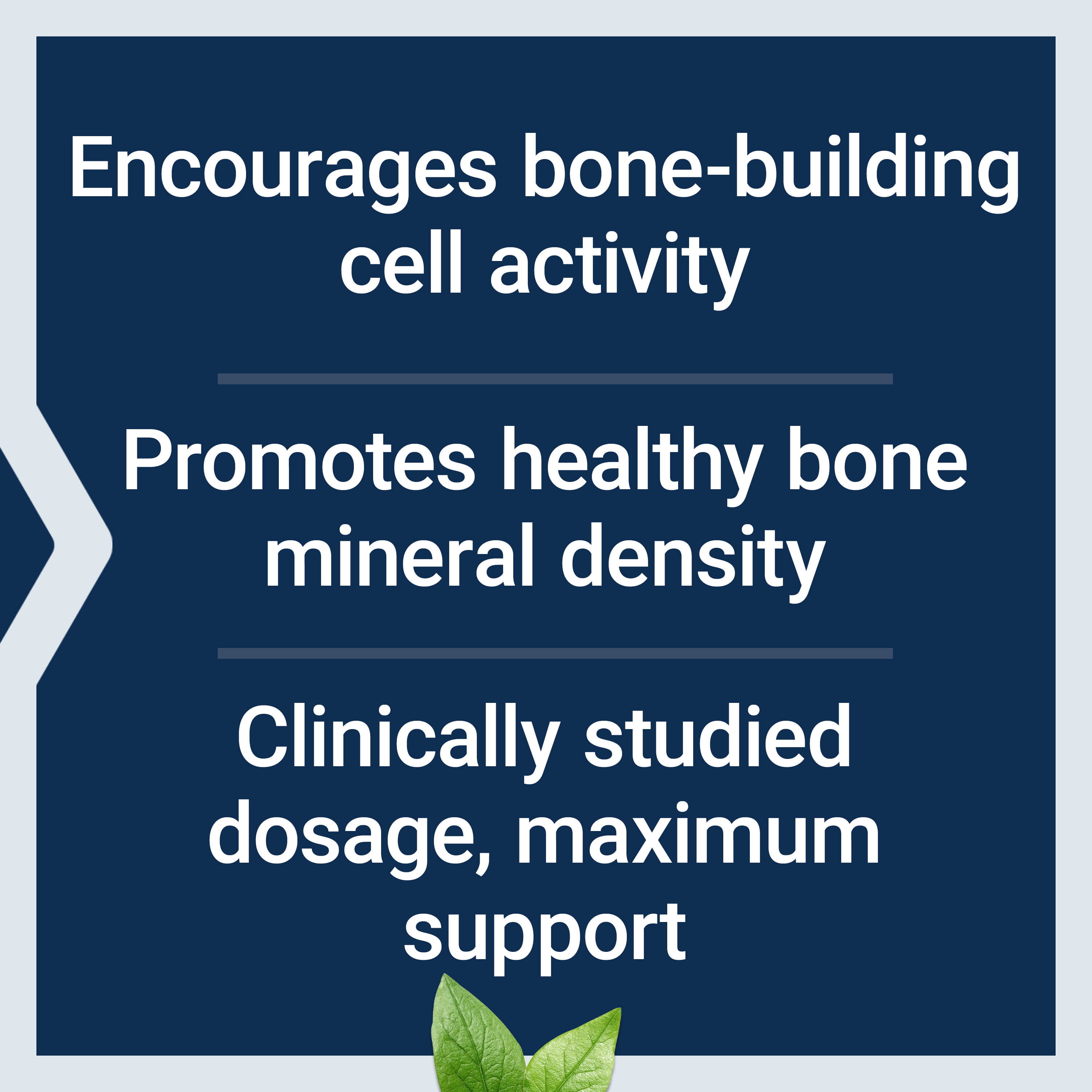 Life Extension Mega Vitamin K2 High Potency for Strong Bones, clinically studied 45 mg K2 dosage, promotes healthy bone density, gluten-free, non-GMO, 30 capsules