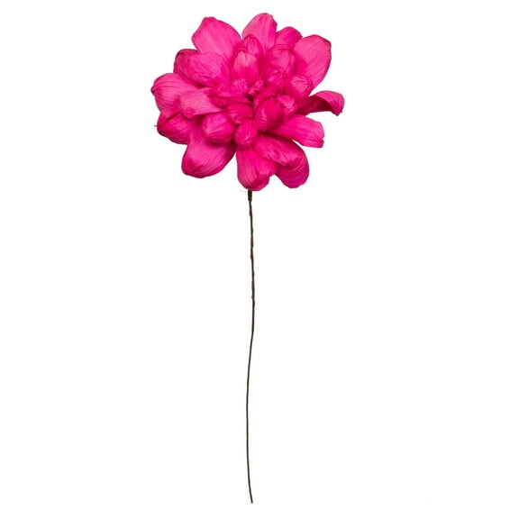 Vickerman Natural Botanicals 6" Raspberry Maize Dahlia. 6 stem/bag. Dried and preserved.