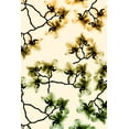 thumbnail image 2 of Koetsier, Albert 23x32 Gold Ornate Wood Framed with Double Matting Museum Art Print Titled - Peeking Foliage 4, 2 of 4