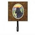 thumbnail image 2 of Carolines Treasures SS8319SH4 Briard Leash Holder or Key Hook, Small, Multicolor, 2 of 2