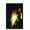 Premium Print and White Hanger Bundle, variant on DC Comics - Black Adam - Portrait
