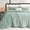 Sage Green, variant on Fluffy Queen Comforter Set - Super Soft Faux Fur Sage Green Comforter Queen Size, Winter Warm Fleece Bedding Set, 3 Pieces Plush Fuzzy Bed Set (1 Shaggy Comforter, 2 Pillowcases)