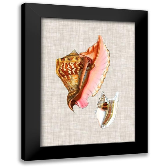 Vision Studio 11x14 Black Modern Framed Museum Art Print Titled - Antique Shells on Linen IX