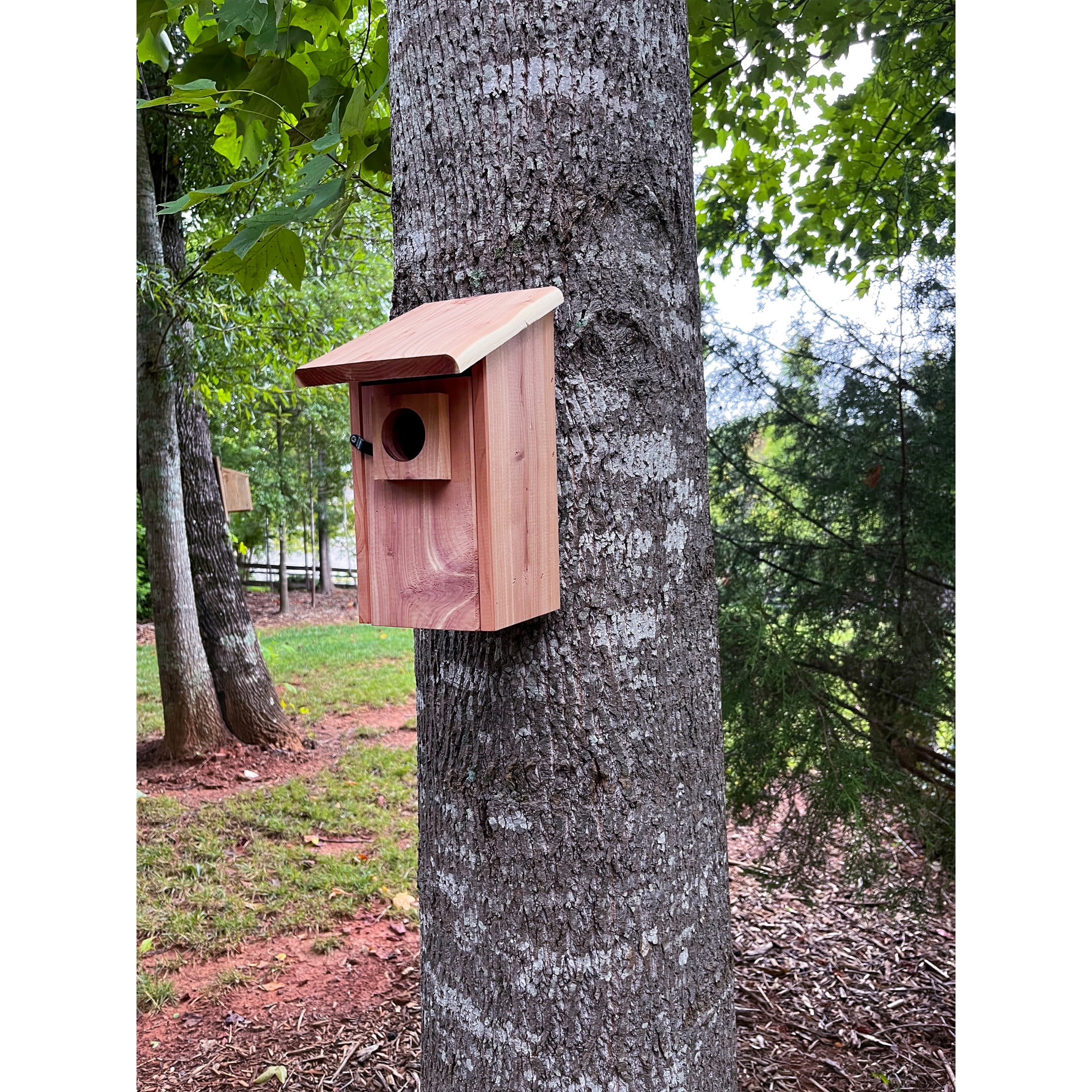 Pennington Cedar Bluebird House With Predator Guard