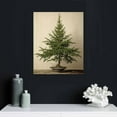 thumbnail image 5 of Nawypu  Vintage Christmas Tree Wall Art Retro Winter Pine Botanical Aesthetic Pictures Prints Neutral Winter Room Wall Decor Canvas Posters Farmhouse Holiday Wall Decor, 5 of 5