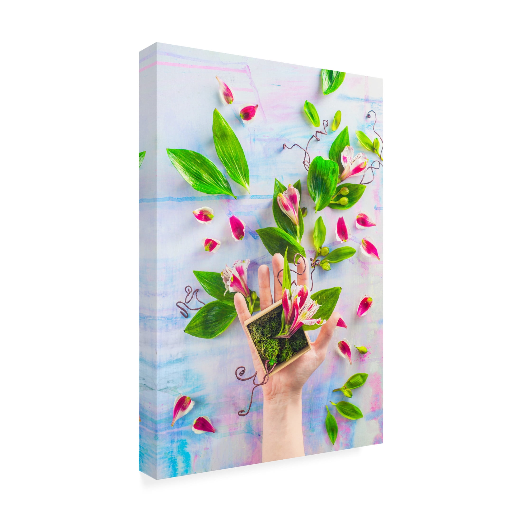 Canvas Wall Art - Dina Belenko 'Hand Full Of Spring' Wall Art for Living Room, Bedroom, or Office Décor by Trademark Fine Art - 16 x 24 Inches