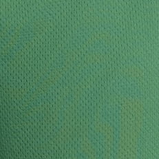 Spa Green