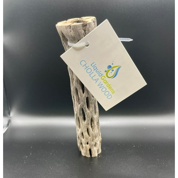 Liquid Gardens 12" Cholla Wood