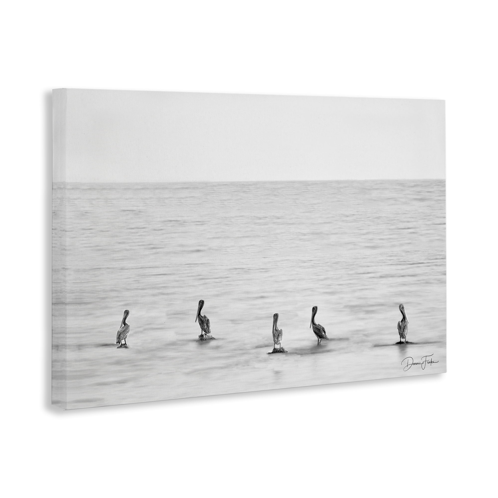 Stupell Industries Pelicans on Shore Landscape Photography Gallery Wrapped Canvas Art Print Wall Art, 45 x 30