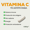 thumbnail image 2 of Vitday CBoost Vitamina C 90 Cápsulas Vegetales, 2 of 7