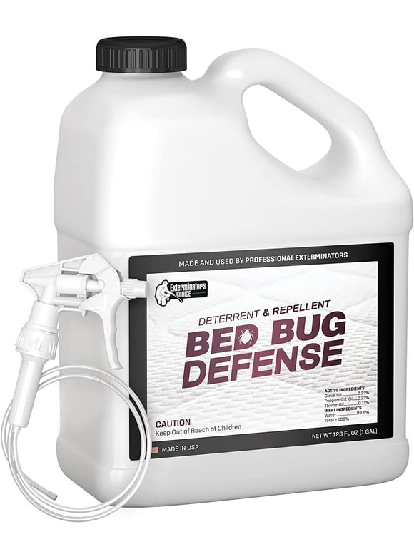 Bed Bugs in Pest Control