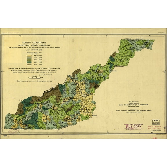 24"x36" Gallery Poster, Forest map West North Carolina 1909