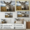 thumbnail image 4 of Designart "Gentle Companion Grey Donkey" Animals Floater Framed Wall Decor, 4 of 7
