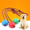 thumbnail image 1 of Rubber Pet Toy Ball Bite-resistant Piercing Ball Molar Tooth Puzzle Interactive Toy, 1 of 7