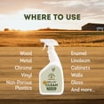 thumbnail image 2 of Good Salt Pet- Barn & Coop Clean 32oz, 2 of 9