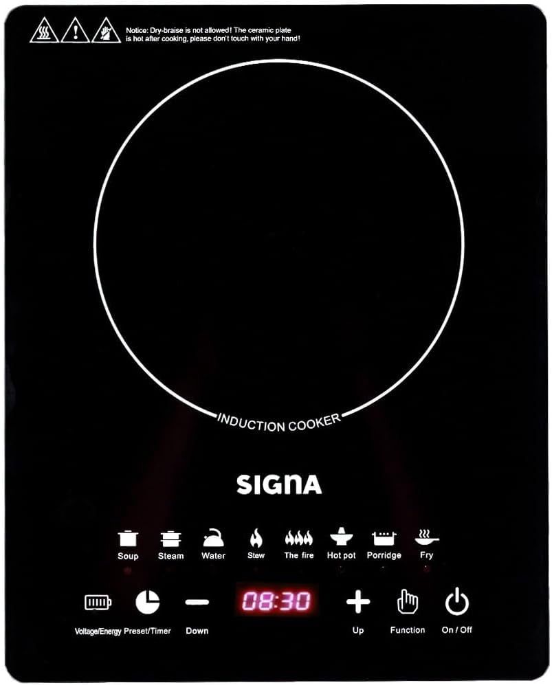 Parilla Eléctrica un quemador de Inducción Panel de Lujo 120W (Negra)