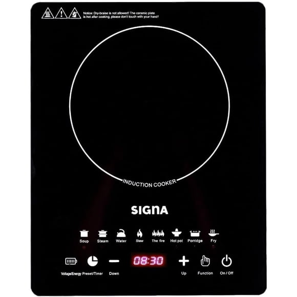 Parilla Eléctrica un quemador de Inducción Panel de Lujo 120W (Negra)