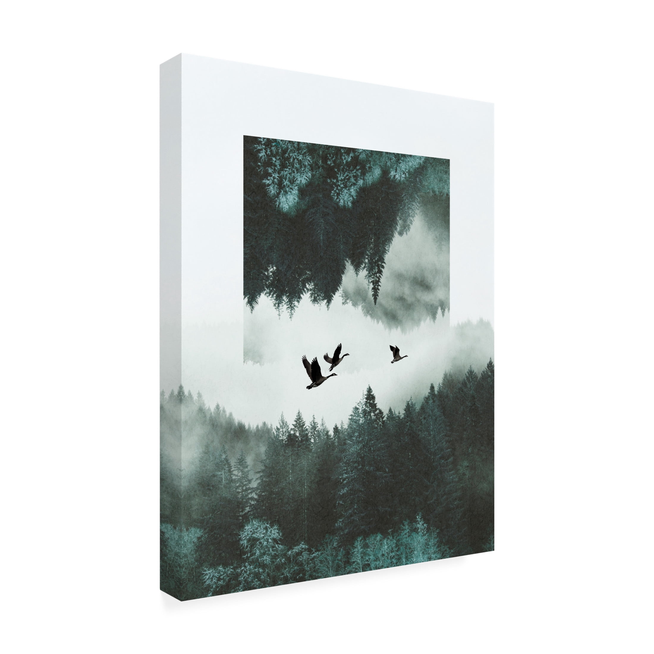 Trademark Fine Art Grace Popp  Misty Skein II Canvas Wall Art