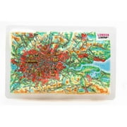 London Raised Relief Map, Framed - Souvenir Size
