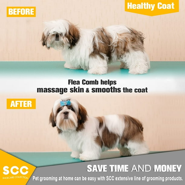 Dematting comb clearance for shih tzu