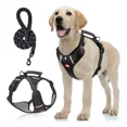 thumbnail image 1 of Pechera Arnés Para Perro Mediano Grande Seguridad Ajustable, 1 of 8
