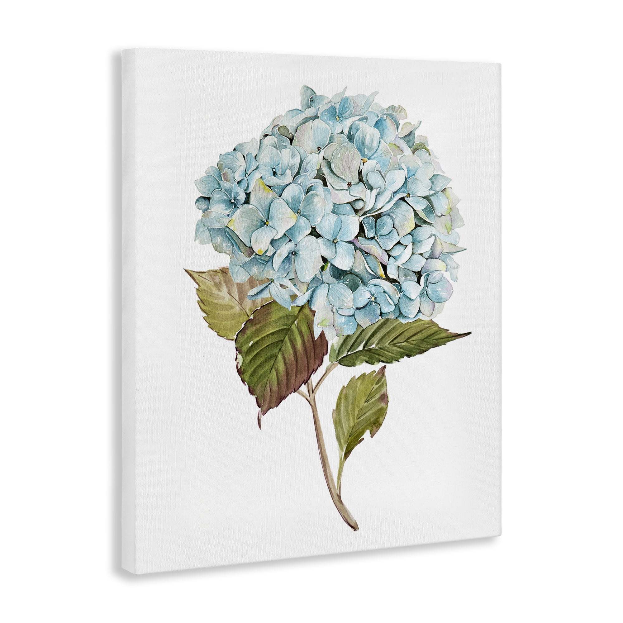 Stupell Industries Simple Hydrangea Bud Botanical & Floral Painting Gallery Wrapped Canvas Art Print Wall Art, 30 x 40