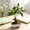 B, variant on Artificial Bonsai Tree Potted Plant Fake Greenery For Home Office Desk Decor,A