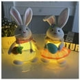 thumbnail image 5 of Litotail Easter Rabbit Night Light Plush Bunny Toy for Babies Kids,Bunny Stuffed Animals for Birthday Easter Festivals Gift for Boys Easter Bunny Home Decor, 5 of 7